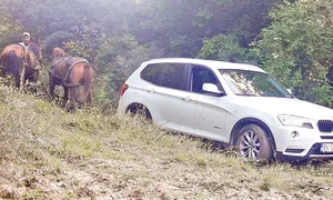 lux8 act 7 baza bmw tras de cai jpeg