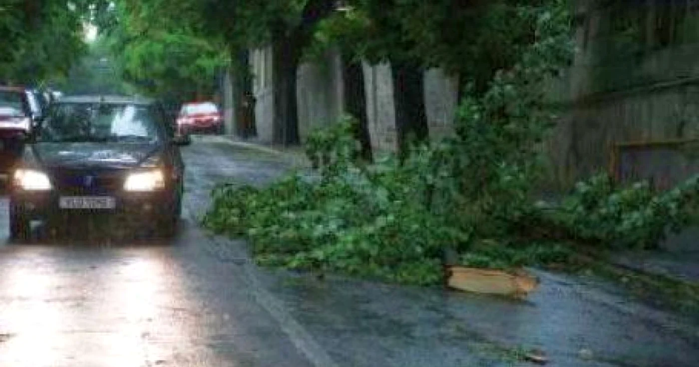 Foto: Arhiva Adevărul.