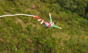 francois marie dibon guinness jpg