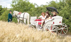 cristina spatar clip 1 jpeg