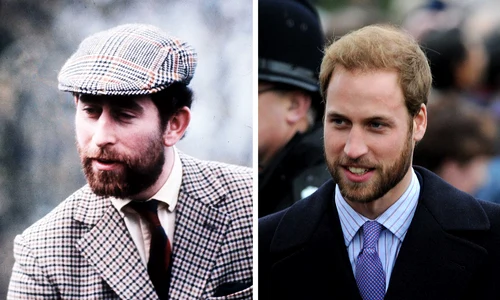 Charles și William cu barbă, Profimedia jpg