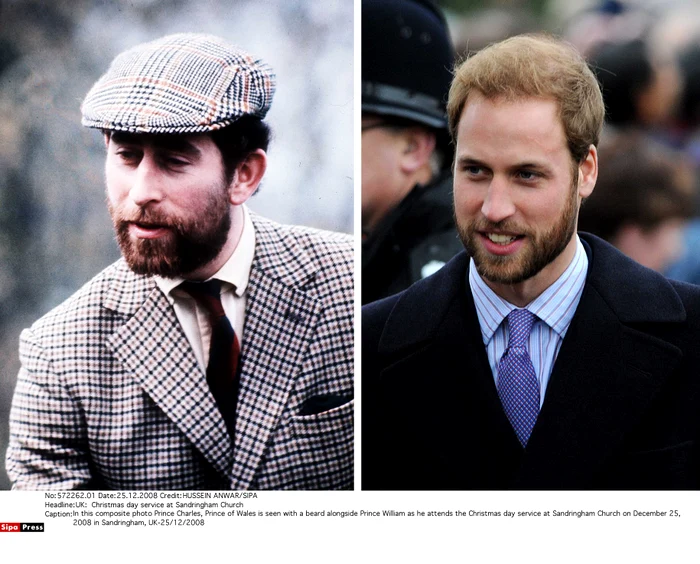 Charles și William cu barbă, Profimedia jpg