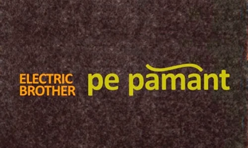Pămîntul lui Electric Brother jpeg