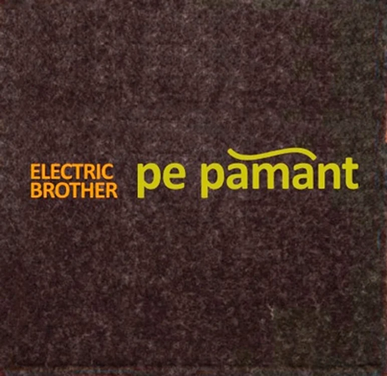 Pămîntul lui Electric Brother jpeg