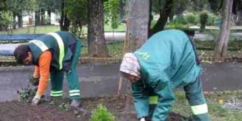 Satu Mare: Adevărul la minut