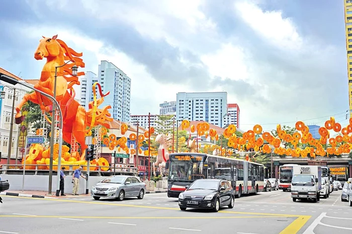 Anul Calului de Lemn