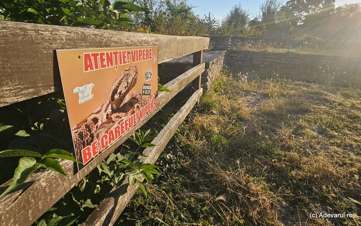 Cetatea Devei. Foto: Daniel Guță. ADEVĂRUL