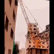 rahova gif gif