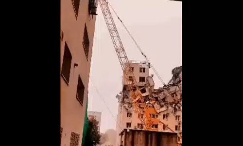 rahova gif gif