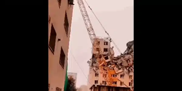 rahova gif gif