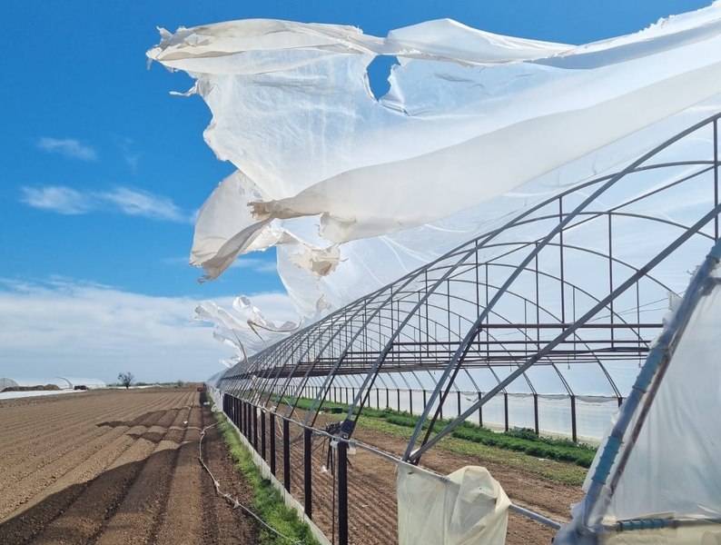 Prăpăd în „raiul legumelor” de la Băleni, Dâmbovița. Zeci de solarii au fost sfârtecate de furtună VIDEO