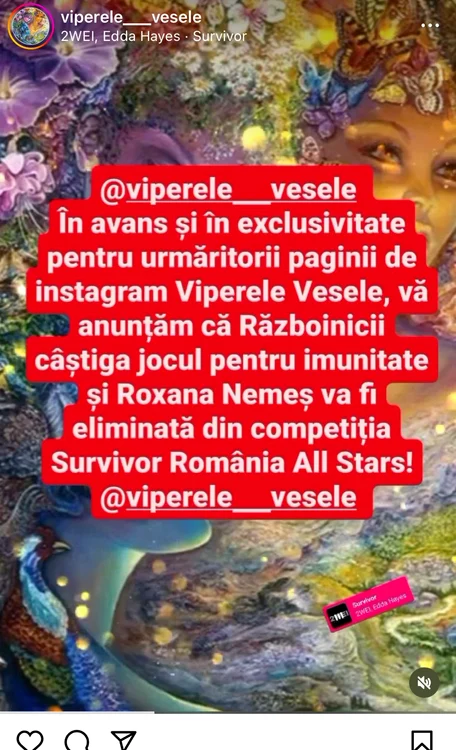 Anunțul făcut de Viperele Vesele, pe Instagram