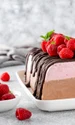 Semifreddo cu zmeura si ciocolata Sursa foto shutterstock 2612556685 jpg