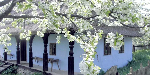 Atelier de tâmplărie la Muzeul Satului