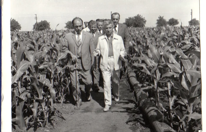 Vizita de lucru Nicolae Ceaușescu 