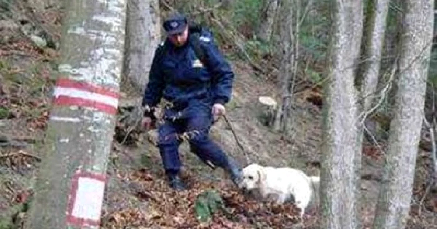 FOTO Arhivă