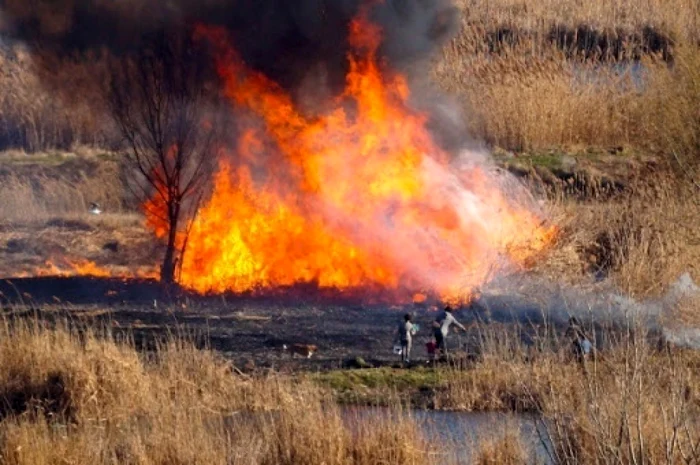 incendiu vegetatie uscata Galati 2