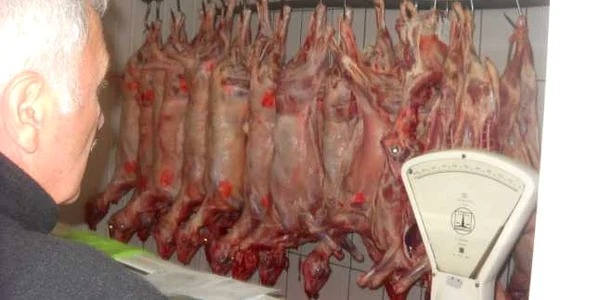 boxa carne barlad