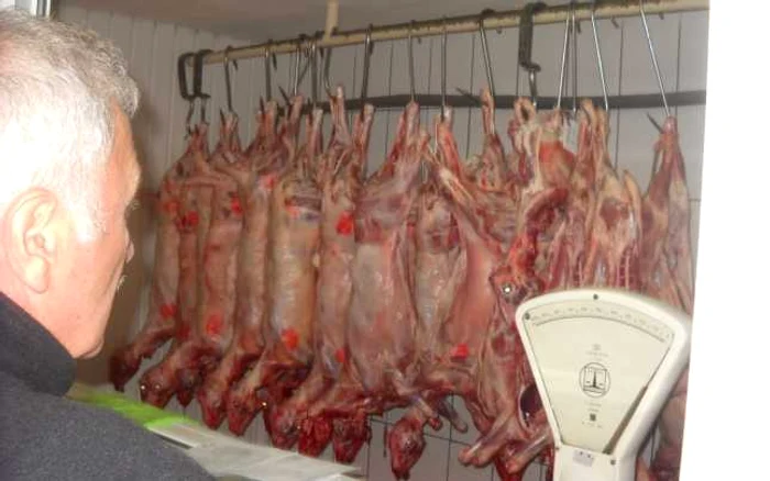 Peste 600 kg de carne au fost confiscate FOTO Sabina Ghiorghe