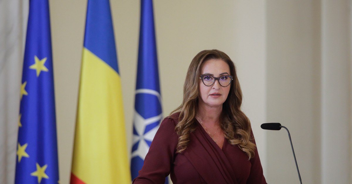 Ministrul Culturii anunță că se lucrează la înăsprirea reglementărilor pentru organizarea de expoziții în afara țării