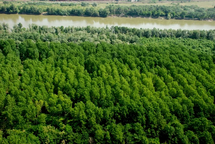 Teritoriul municipiului Brăila s-a extins cu 700 ha zonă inundabilă FOTO Florentin Coman