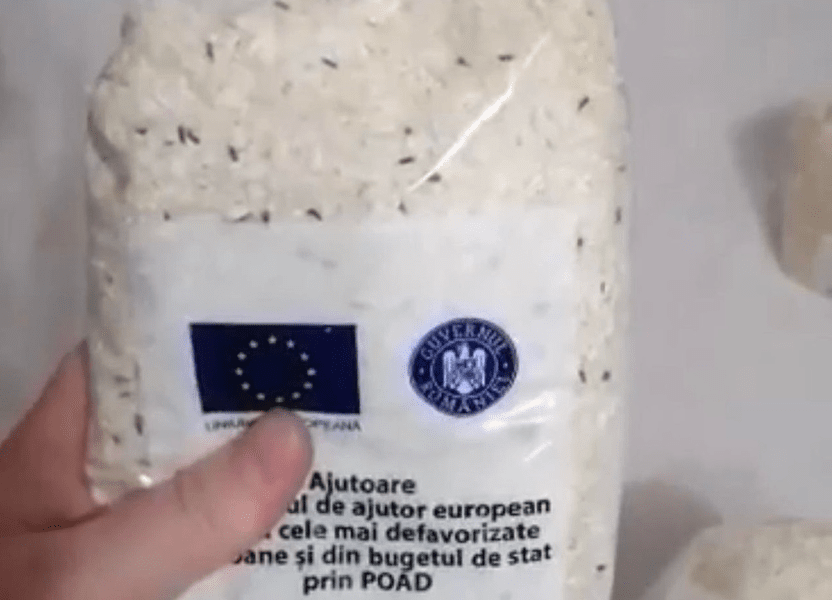 Orez infestat cu insecte, primit ca „ajutor” UE de o familie din Maramureș