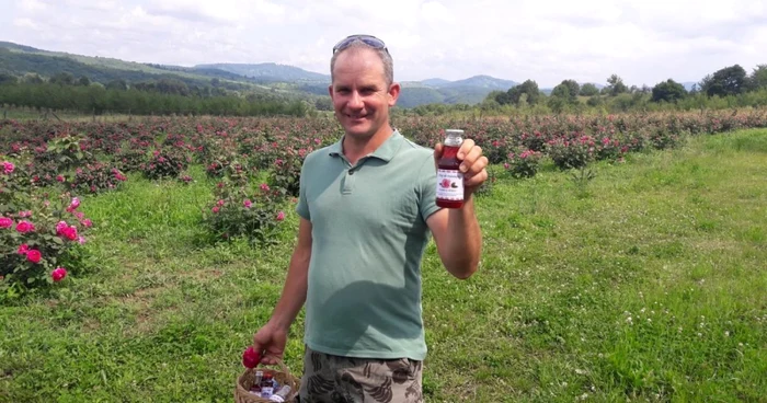 Plantaţie de trandafiri pentru dulceaţă