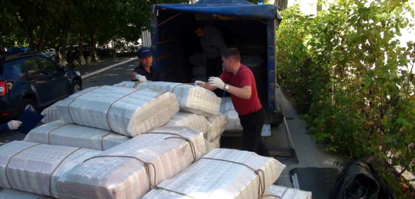 Marfa de tutungerie era într-o remorcă, întrr-un lan de floarea soarelui FOTO border.gov.md