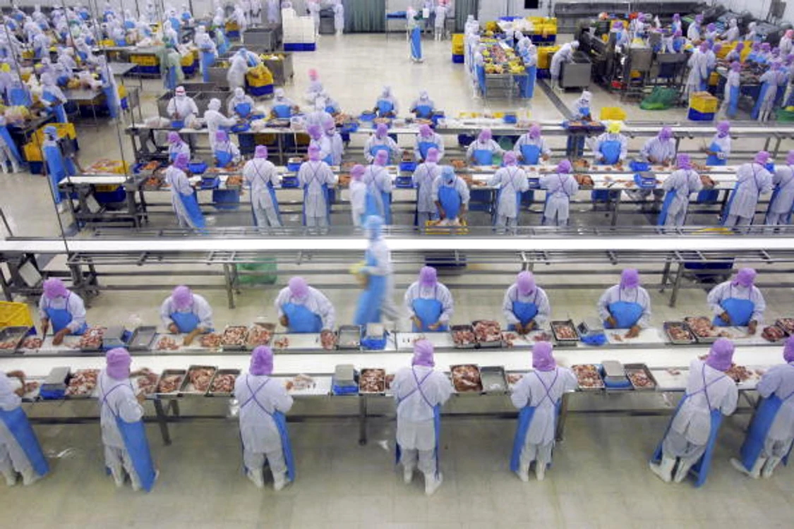 
    Angajații anumitor companii din industria avicolă poartă scutece pentru că nu le este permis să meargă la toaletăFoto Getty  
