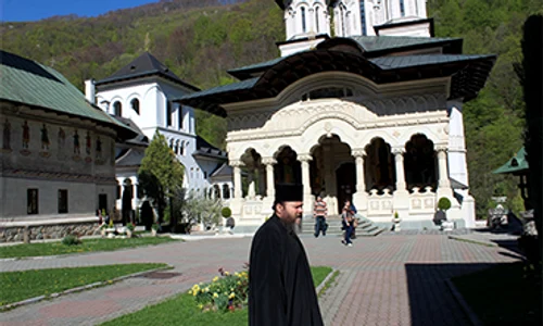 lainici copy jpeg