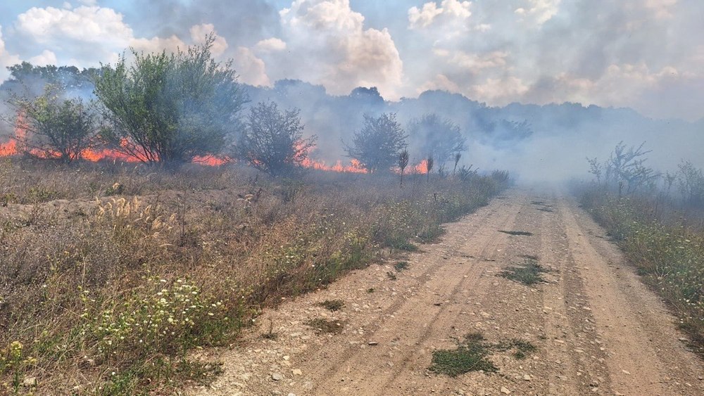 Incendiu de vegetaţie uscată, în nordul Capitalei, pe 30 de hectare VIDEO