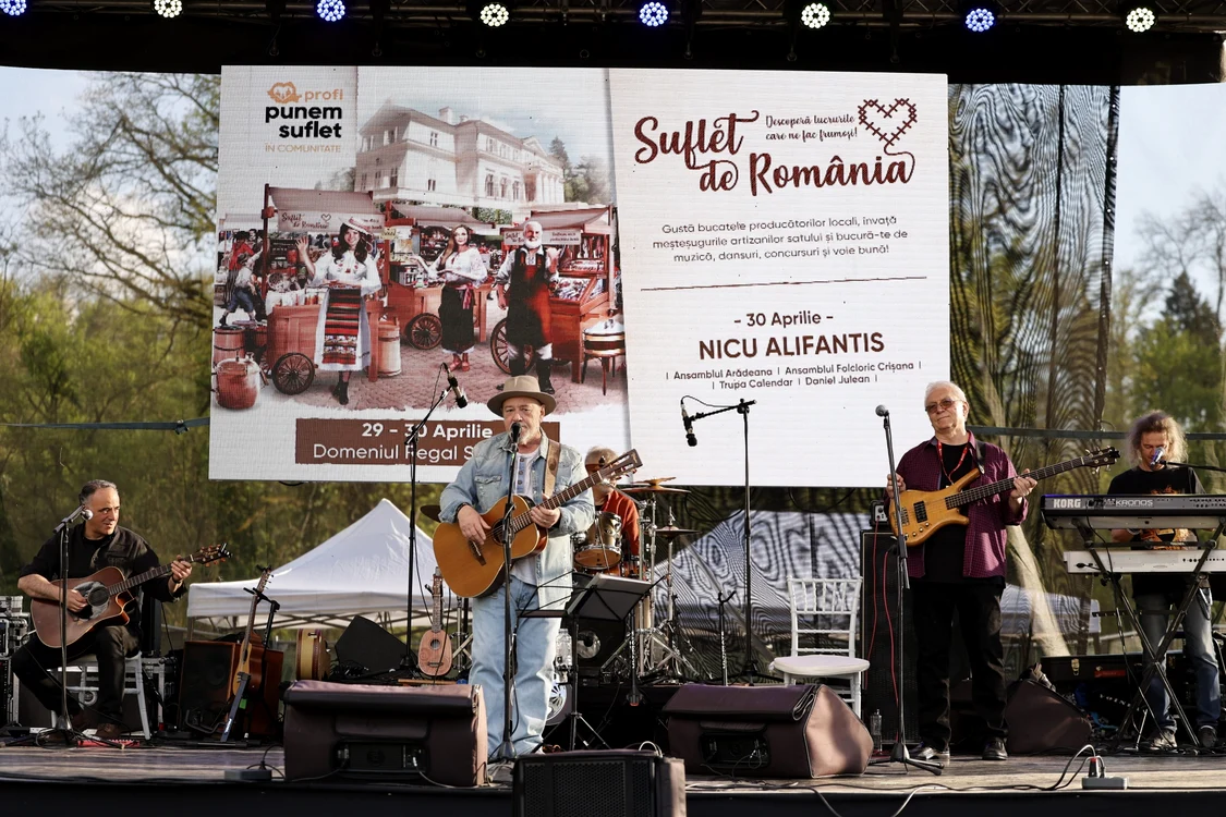 Nicu Alifantis in concert