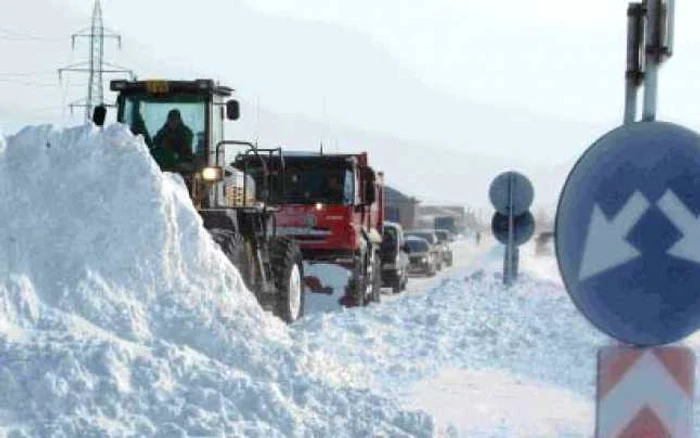 VRANCEA. Maşini obligate să meargă cu viteza plugului  Foto: Adevărul