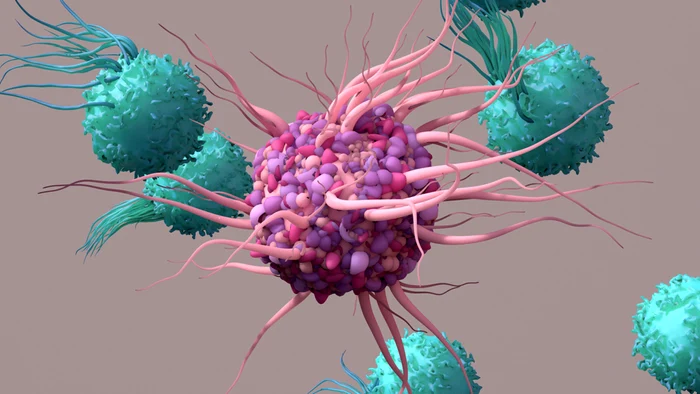 Ilustrație cu celulele T reglatoare terapie imunitară Foto Akadeum Life Sciences