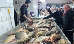 WhatsApp Image 2026 03 24 at 21 21 49 (1) jpeg