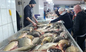 WhatsApp Image 2026 03 24 at 21 21 49 (1) jpeg