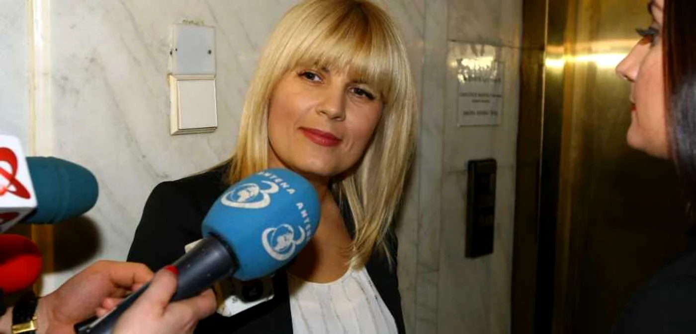 Elena Udrea FOTO Mediafax