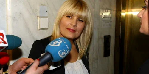 Elena Udrea in Parlament - 23 februarie FOTO Adevarul/Marian Iliescu