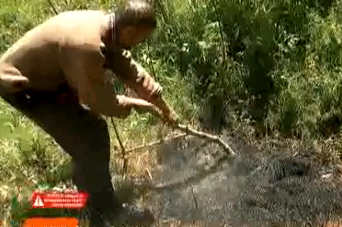 Așa arată animalul care i-a speriat pe sătenii din Oancea, GalațiCaptură video