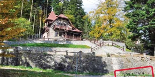 Aceasta este vila pe care şi-a achiziţionat-o Mircea Rednic la Sinaia 