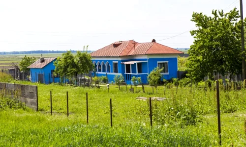 romanii care stau la casa webp