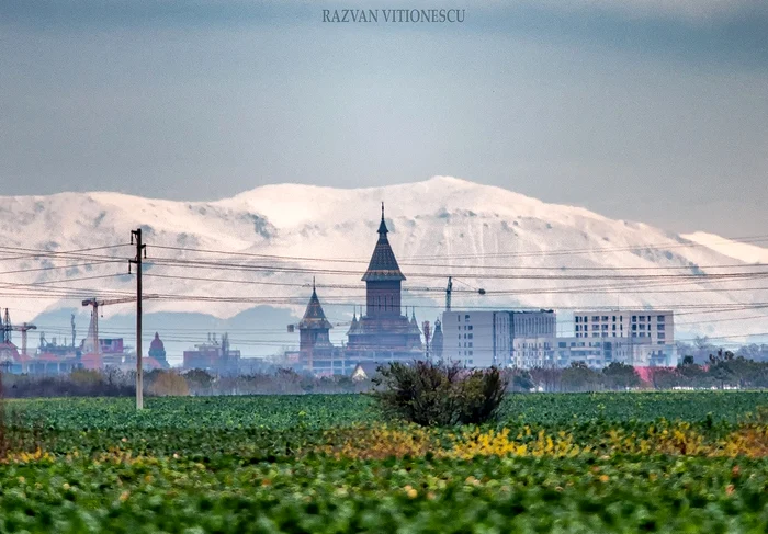 Cea mai nouă fotografie realizată de fotograf FOTO Răzvan Vitionescu