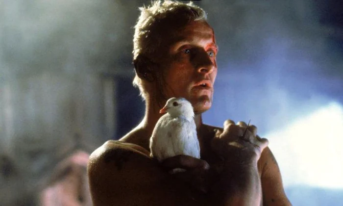 VIDEO/ Monologul lui Rutger Hauer din «Blade Runner», unul dintre cele mai bune din istoria filmelor SF jpeg
