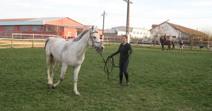 Centrul de echitație de la Giroc a fost deschis acum aproape o lună