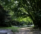 parcul dendrologic din simeria foto daniel guta adevarul