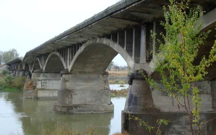 Descoperirea a fost făcută de un cioban care se plimba cu oile pe marginea râului, în dreptul Podului de la Ioneşti FOTO incomod-media.ro