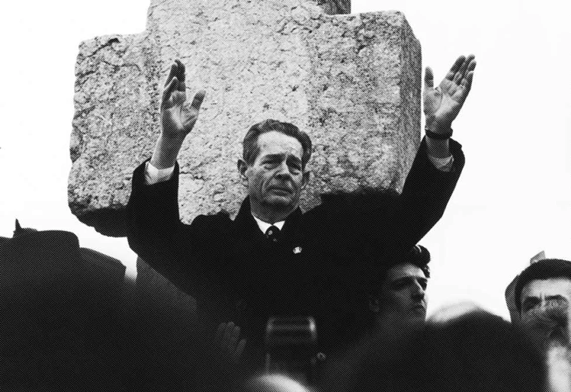 Regele Mihai. FOTO
