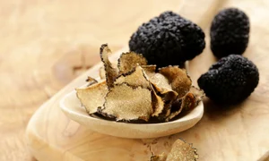 32104970   expensive rare black truffle mushroom   gourmet vegetable jpeg