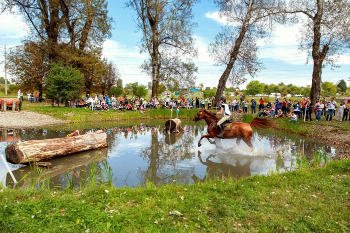 8 karpathia horse show 2019 2 jpg jpeg
