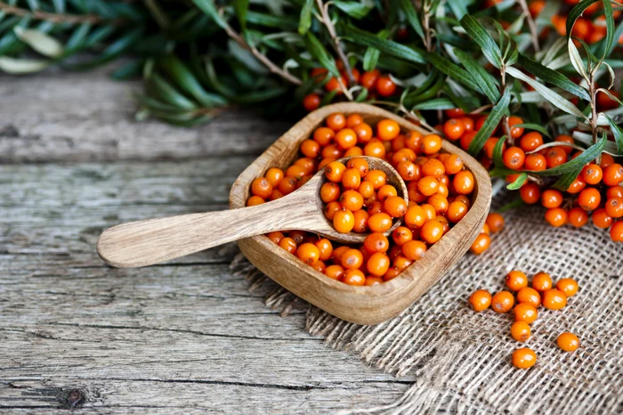 Cătina este una dintre cele mai bogate surse naturale de antioxidanți. Foto: Click.